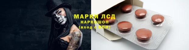 ALPHA PVP Беломорск