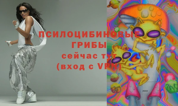 mdma Белокуриха