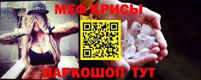 спиды Гай