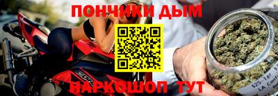спиды Гай