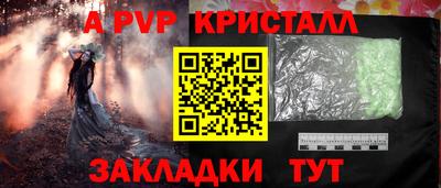 спиды Гай