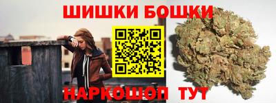 спиды Гай