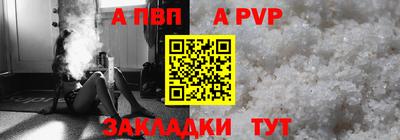 спиды Гай