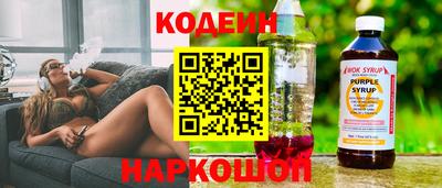 спиды Гай