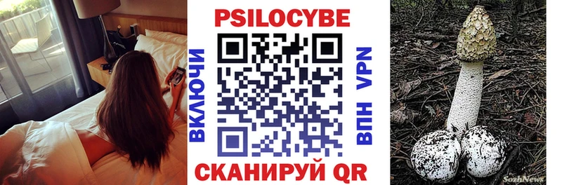 Галлюциногенные грибы Magic Shrooms  Мурманск 