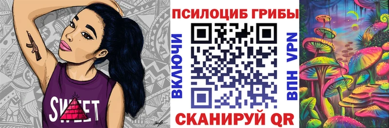 Псилоцибиновые грибы Cubensis Мурманск