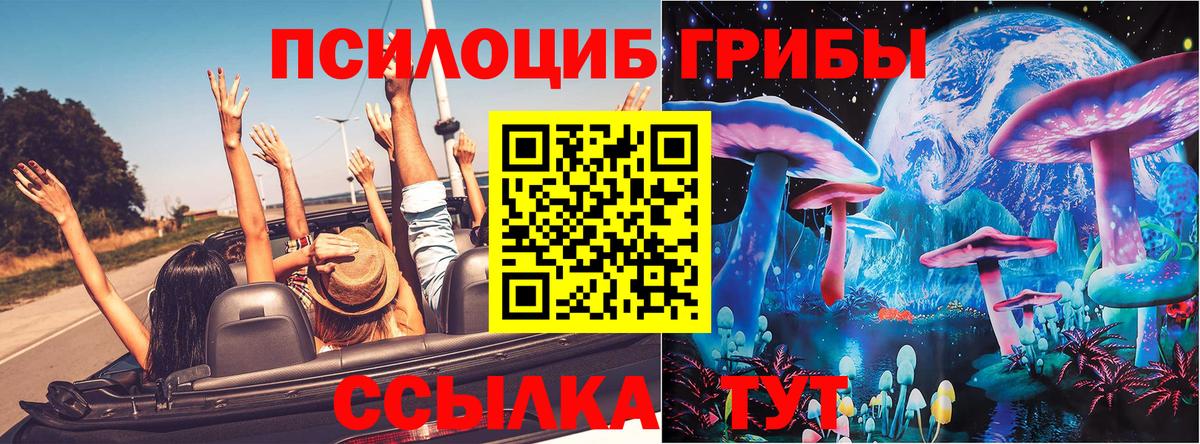 Псилоцибиновые грибы Cubensis  Вход с VPN  Мурманск  Псилоцибиновые грибы прущие грибы 