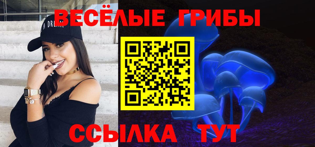 Галлюциногенные грибы Psilocybine cubensis Мурманск