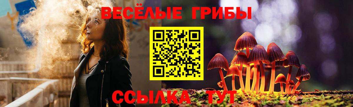 Псилоцибиновые грибы Cubensis  Мурманск 
